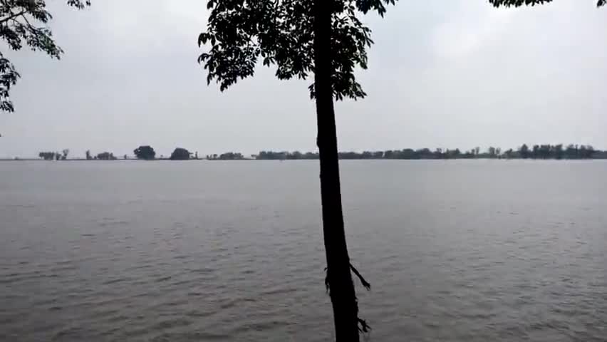 अरेराज: ना#रायणी नदी में आया लगातार फिर से भयंकर बाढ़ 🌧️🌊#flood #areraj