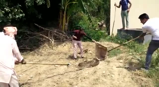 वन विभाग की इस महिला कर्मी को सलाम।
जांबाज है। #वनविभाग una