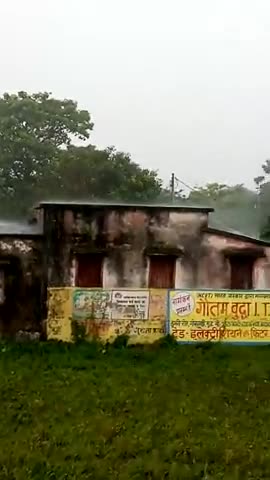 मरवन: #Lagatar Baris hone se  dhan ki bij kharab hone se dhan Ki Fasal is bar nahi Hui hai﻿@﻿news #####pablicapp##marwan live