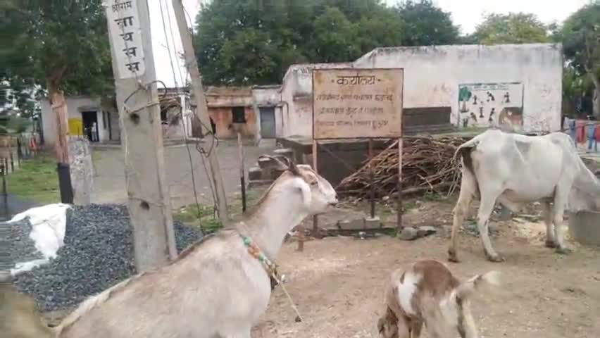 छड़ावाद में कोरोना वैक्सीन लगाने के बाद की जा रही है बच्चों की जांच बच्चे आकर जांच करा कर जा रहे हैं#छड़ावाद#कोरोना