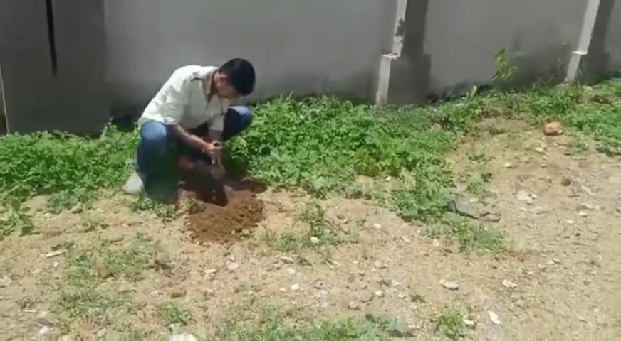 श्री जगन्नाथ यात्रा के पावन पर्व के उपलक्ष में वृक्षा रोपण किया 
#jainyash #yashjain #plantingtrees
#nature