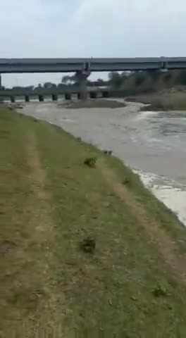 खाचरोद पिपलोदा पंथ से आगे पहुँचा चम्बल का पानी हालांकि यह इलाका अभी  पुरी तरह सुखा हे देखे पुरा वीडियो #live
 #chambal