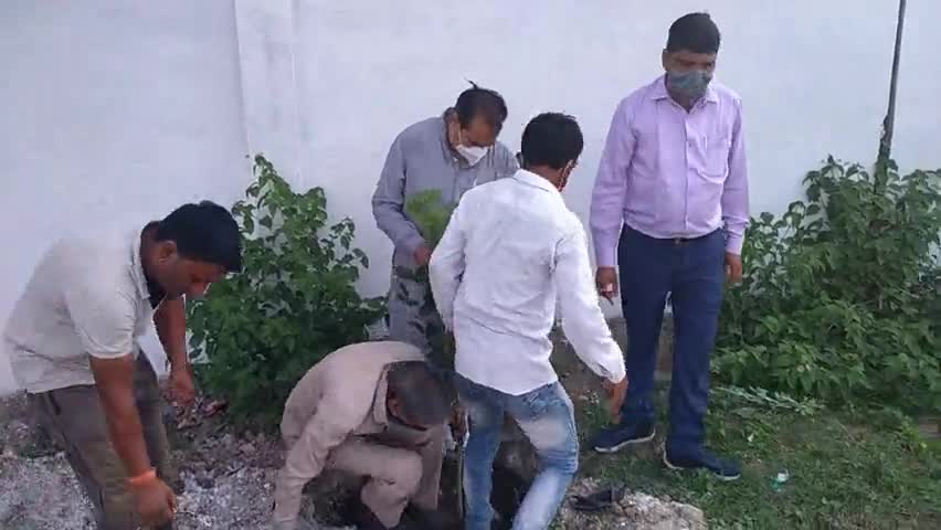 #नीमच में ग्रीन बेल्ट के निर्माण कार्य का शुभारंभ ज्ञानोदय महाविद्यालय के पास रिक्त पड़ी भूमि पर 100  पौधरोपण किये।