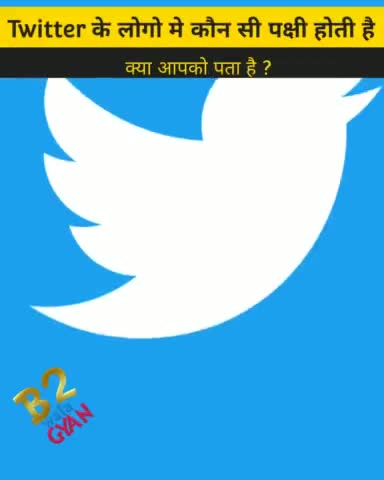 Twitter logo fact #public #b2walagyan #hindigyan