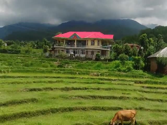 पालमपुर: #palampur dhola dhar ka nazara@