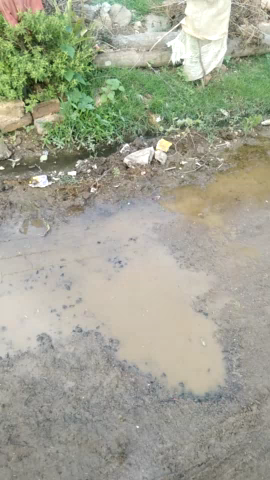 ग्राम छड़ावाद में आज पानी गिरा जोर से तो नहीं लेकिन फसलों को जितना चाहिए था उतना गिर गया #तराना#छड़ावाद#नौगांवा#इटावा