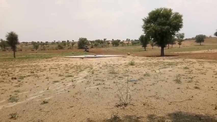 चूरू: अच्छी बारिश के बाद बुवाई किसानो मे उत्साह #farm #churu#kissan#rajasthan