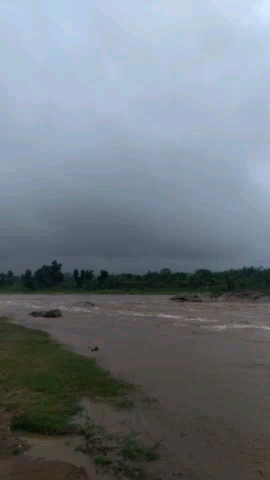 मनिका: लाली गांव का बाढ़ देखो भरपूर#ड्रग्स