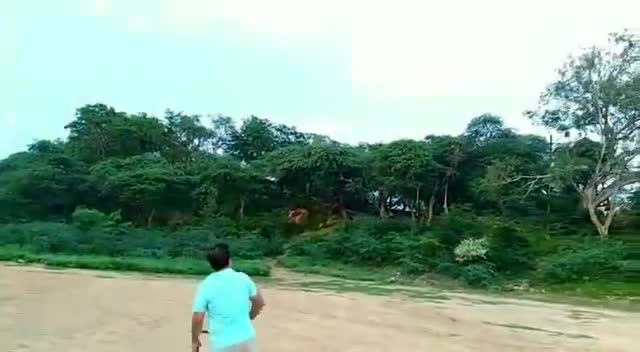 Four #Blade #Boomerang #Trick Catch #Practice With #Single #Hand At Badkhal Lake 🇮🇳