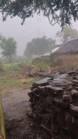 पथरिया: बारिश क्या हुई किसान झूम उठे दमोह जिले में हुई झमाझम बारिश
#Shankar #Raikwar
#shonakiya #shahpur