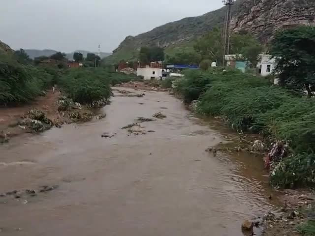 सवाई माधोपुर: Sawai Madhopur
#ranthanbore
#reelkarofeelkaro