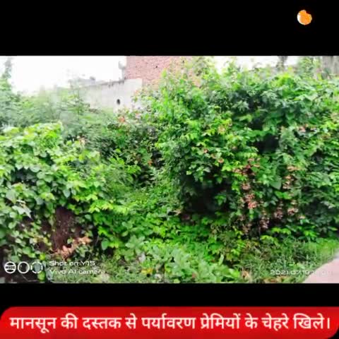 पर्यावरण संरक्षण के लिए, बारिश का मौसम एक वरदान है। आइए, मिलकर काम करें 🙏
#पर्यावरण_संरक्षण
#yogiadityanath