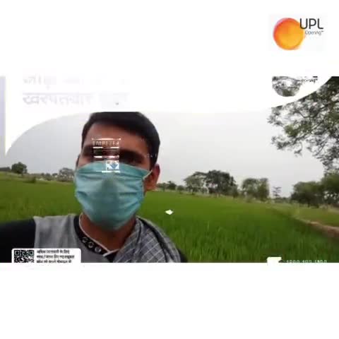 धान की फसल में उगे हुए खरपतवार के नियंत्रण के लिए बेहतरीन समाधान #UPL का #इंपेजर !