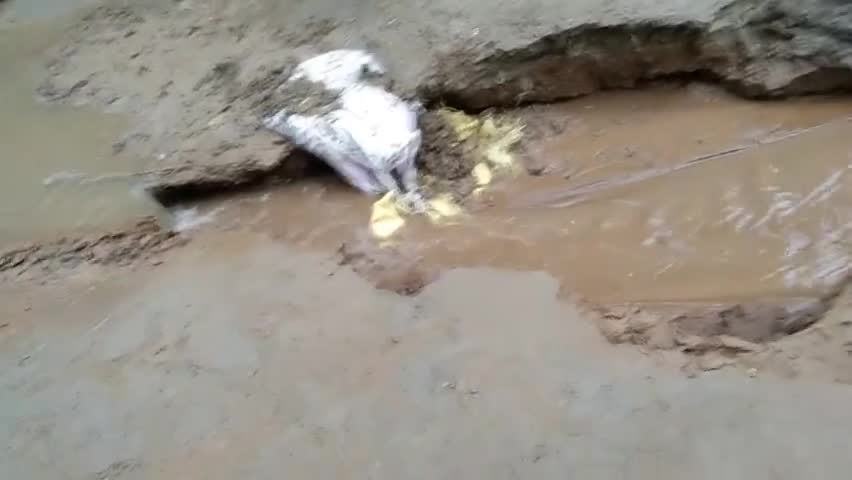 कोल: barish ka Aatang Nagla dalchandra , g. t. road aligarh #baarish #baarishkaaatang