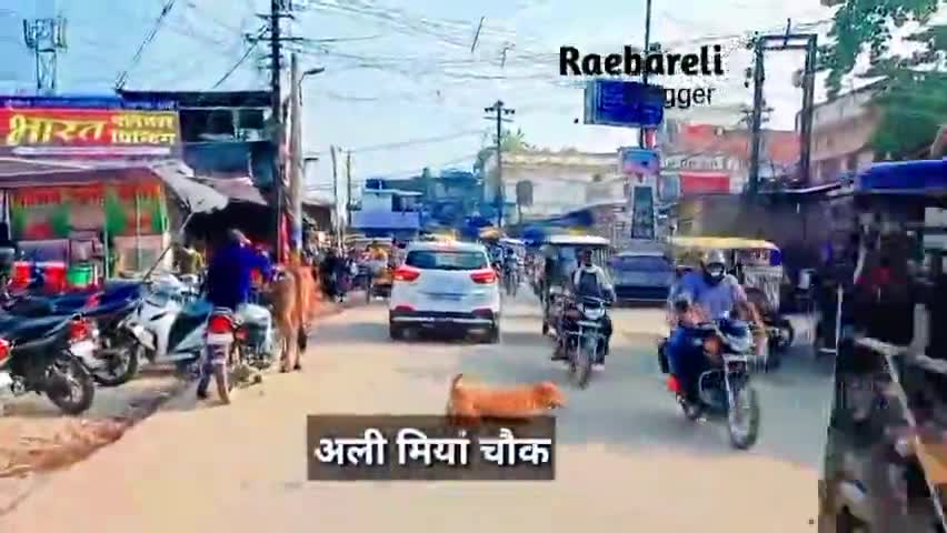 अली मियां चौक रायबरेली जिला #अलीमियाचौक #कैपरगंज#रायबरेली #raebarelivlogger ﻿#raebarelivlogger