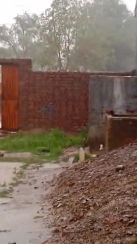 suratgarh me बारिश
#raining@