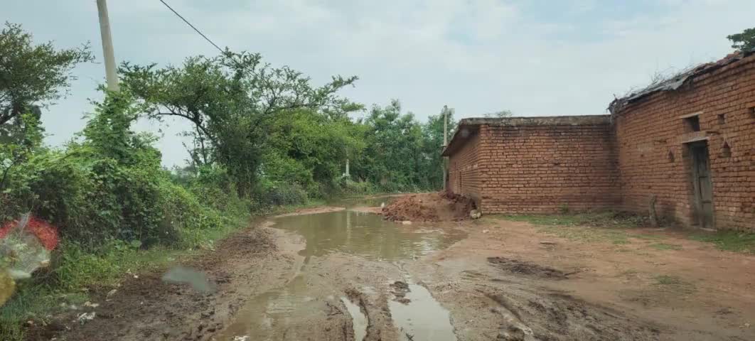 बिकौरा:-ग्राम बिकौरा के मुख्य मार्ग पर पानी भरे रहने से ग्रामीण परेशान
हो सकता है #हादशा