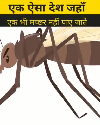 ऐसी जगह जहां पर कोई मच्छर नहीं पाई जाते #b2walagyan #facts #news #hindifacts