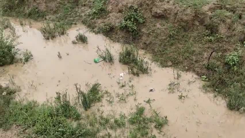 इस साल अच्छी बारिश होने के आसार#बारिश#बादल