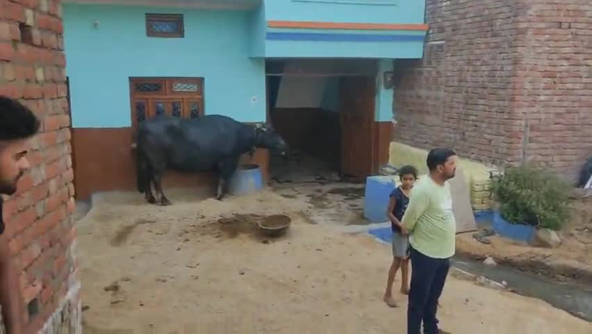 बडोखर मुरैना वार्ड नम्बर 2 सरकारी स्कूल के पास जल भराब नगर निगम नही दे रहा ध्यान#cmshivrajsinghchouhan #ravindr01