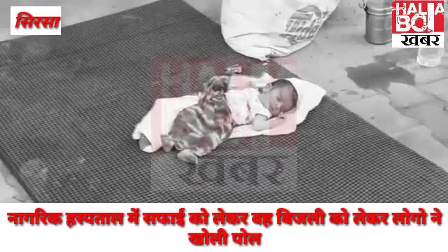 नागरिक हस्पताल पर सफाई वह बिजली को लेकर लगये आरोप ।
#civilhospital
#sirsa
#cmoharyana