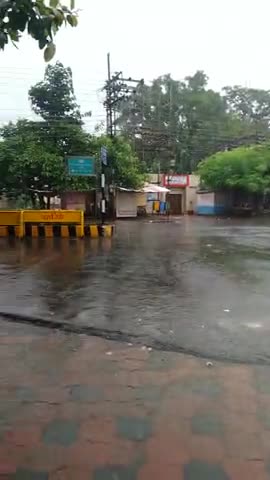 सिहोरा: #पापी पेट का सवाल है जबलपुर में इस भारी बारिश में भी महिला सफाई कर्मचारी सड़क का सफाई करती हुई