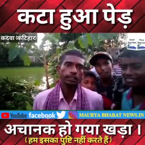 #कटा हुआ पेड़ , अचानक हो गया खड़ा।