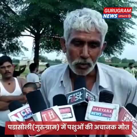 मानेसर: 😭😭😭😭#gao palasoli gurugram @😥😥😥