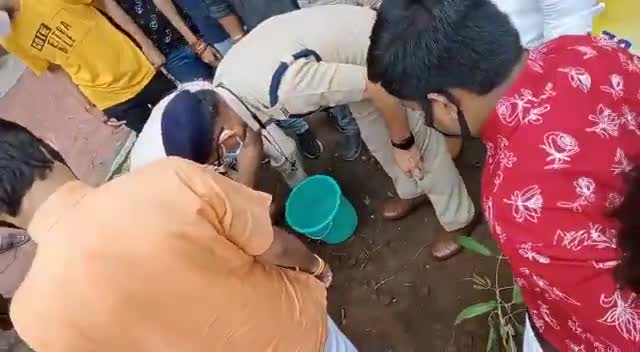 एबीवीपी सीहोर द्वारा एसपी ऑफिस में वृक्षारोपण #abvpsehore