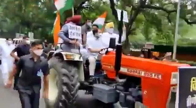 मेरे आदरणीय श्री #rahulgandhi जी ❤️🙏 #RahulGandhiWithFarmers #FarmersParliament