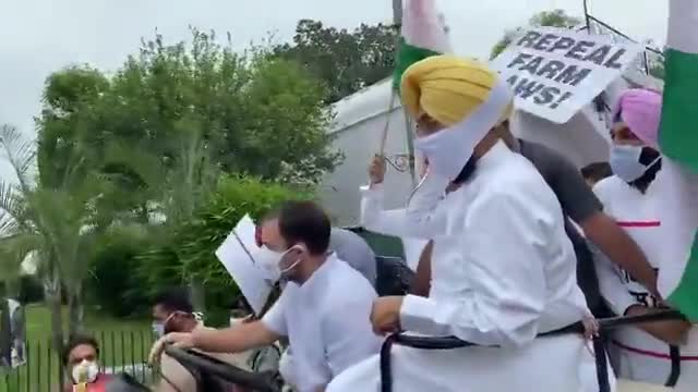साहेब इंदिरा का पोता है आपके 56 इंच के सीने पर भी खेती कर सकता है😡 काले कानून वापिस लो
#kissanandolan 
#पवित्रकौर