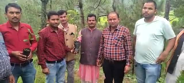 #Dewal-पूर्णा गांव के ग्राम प्रधान ने पुत्र प्राप्ति पर नामकरण के बाद किया वृक्षारोपण l