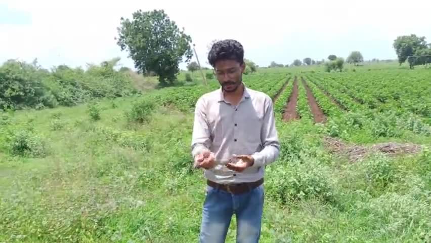 इंदौर: Monitor lizard - Non venomous released in natural habitat. #IndoreSnakeRescue
24/7 available 9589152053