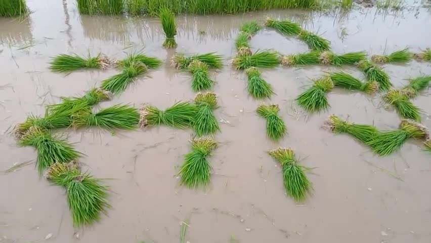 #sanyuktkisanvikasparty 🙏🙏