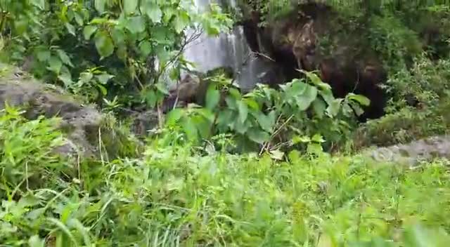 बैतूल जिले के भैंसदेही गार पठार गांव में बहुत सुंदर झरना का दृश्य #Betul #kamleshvlogs