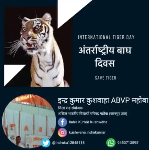 #अन्तर्राष्ट्रीय_बाघ_दिवस की हार्दिक शुभकामनाएं 🐯🐯🐅 🐅🐯🐯
🐅 #InternationalTigerDay 🐅