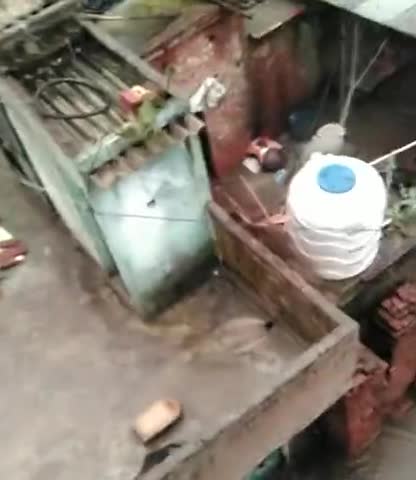 धनौरा: #gajraula
गजरौला में हुई मुशलाधार बारिश