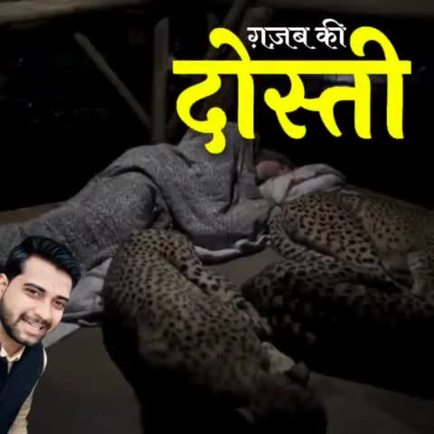 तेंदुओं से दोस्ती देखी है कभी? 
दातों तले उंगली दबाने को तैयार हो जाइये ..

#iamashu #friends #friendship #dosti #jungle