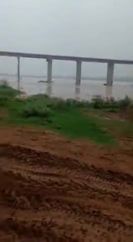 चंबल नदी का जलस्तर बड़ा मुरैना धोलपुर nh3 highway #mansoon #chambal #river