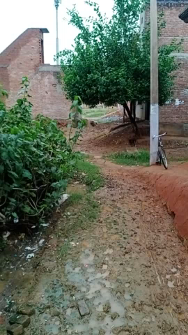औरैया: जिला औरैया के समरथपुर में  रोड ना बनने से लोग परेशान ,, प्रधान ने नहीं किया कोई कार्य  #upgovernment #yogiji #modi