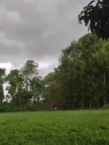 श्रीनगर: Weather in purnea #purneanews