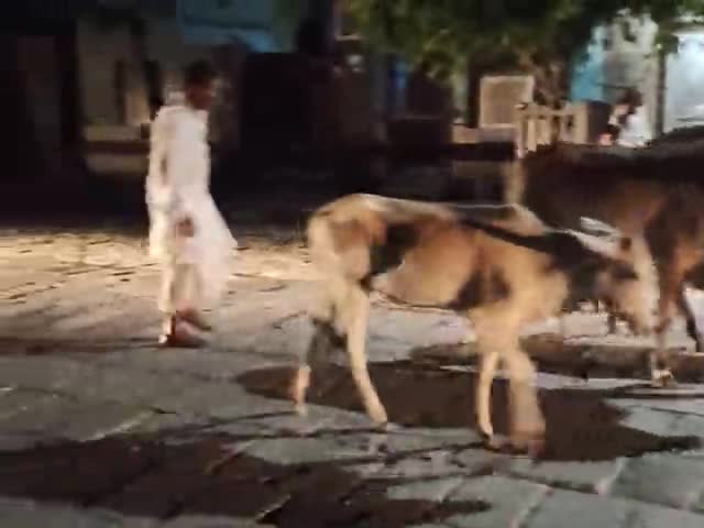 नीलोखेड़ी: iska kuch tod nikala apsay request ha hmari#taraori#rohit lamser#rohit lamser