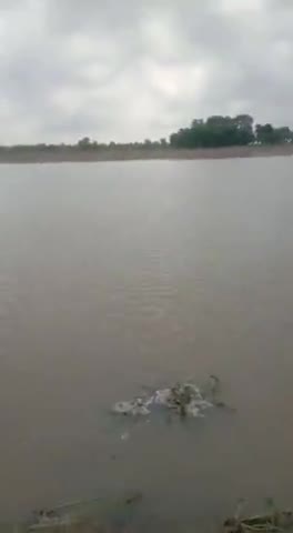 बूढ़ी गंडक यानी सिकरहना नदी के धारा को मोड़े केंद्र और राज्य सरकार मधुबनी घाट लाखों लोग बेघर #बिहार #मधुबनीघाट #hnp