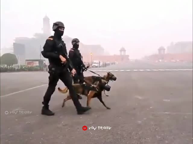 #india #army #Indian #Tonk #newai #रक्षा मंत्रालय #राजथान