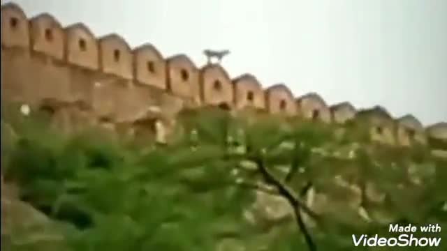 आमेर: आमेर के आमेर महल की सुरक्षा दीवार पर विचरण करते हुए दिखाई दिया बघेरा, रोमांचित हुए पर्यटक
#पर्यटन #महल