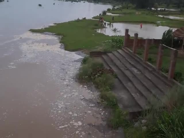 गुरूआ मोरहर नदी में आया बाढ़ #छोटे छोटे बच्चे जान को जोखिम डालकर फंसा रहे हैं मछली ###
