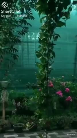 बरसात का बादल तो दीवाना है क्या जाने
किस राह से बचना है किस छत को भिगोना है
#Baris