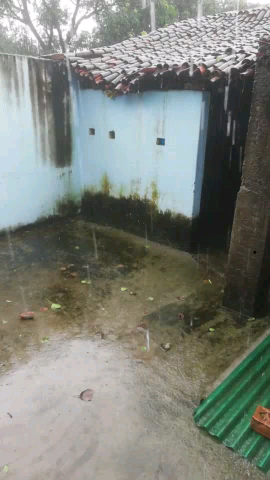 Tilouthu Rohtas मे कल से ही मूसलाधार बारिश, जीवन अस्त व्यस्त #biharbreakingnews ##जातीय_जनगणना