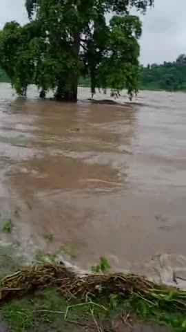 चन्द्रपुरा: #दामोदर नदी का जल स्तर बढ़ा 
#