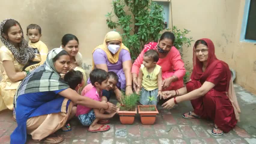 राष्ट्रवादी परिवर्तन पार्टी की राष्ट्रीय महिला अध्यक्ष ने पेड़ लगाकर दिया ज्यादा से ज्यादा पेड़ लगाने का संदेश #Rpp